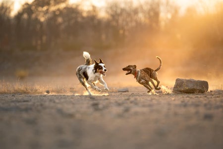 Marissa Lachance is our “Chasing Light” theme micro-grant winner.