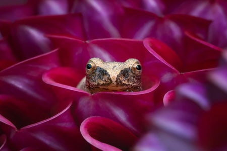 Beth Mancuso is our “The Little Things” theme micro-grant winner.