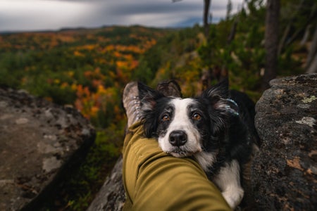 Tracy Wood is our “Pets” theme micro-grant winner.