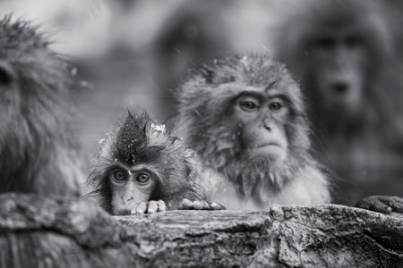 Dani Sanchez is our Black and White theme micro-grant winner.