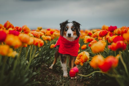 Rebecca Gark is our Springtime Bloom theme micro-grant winner.