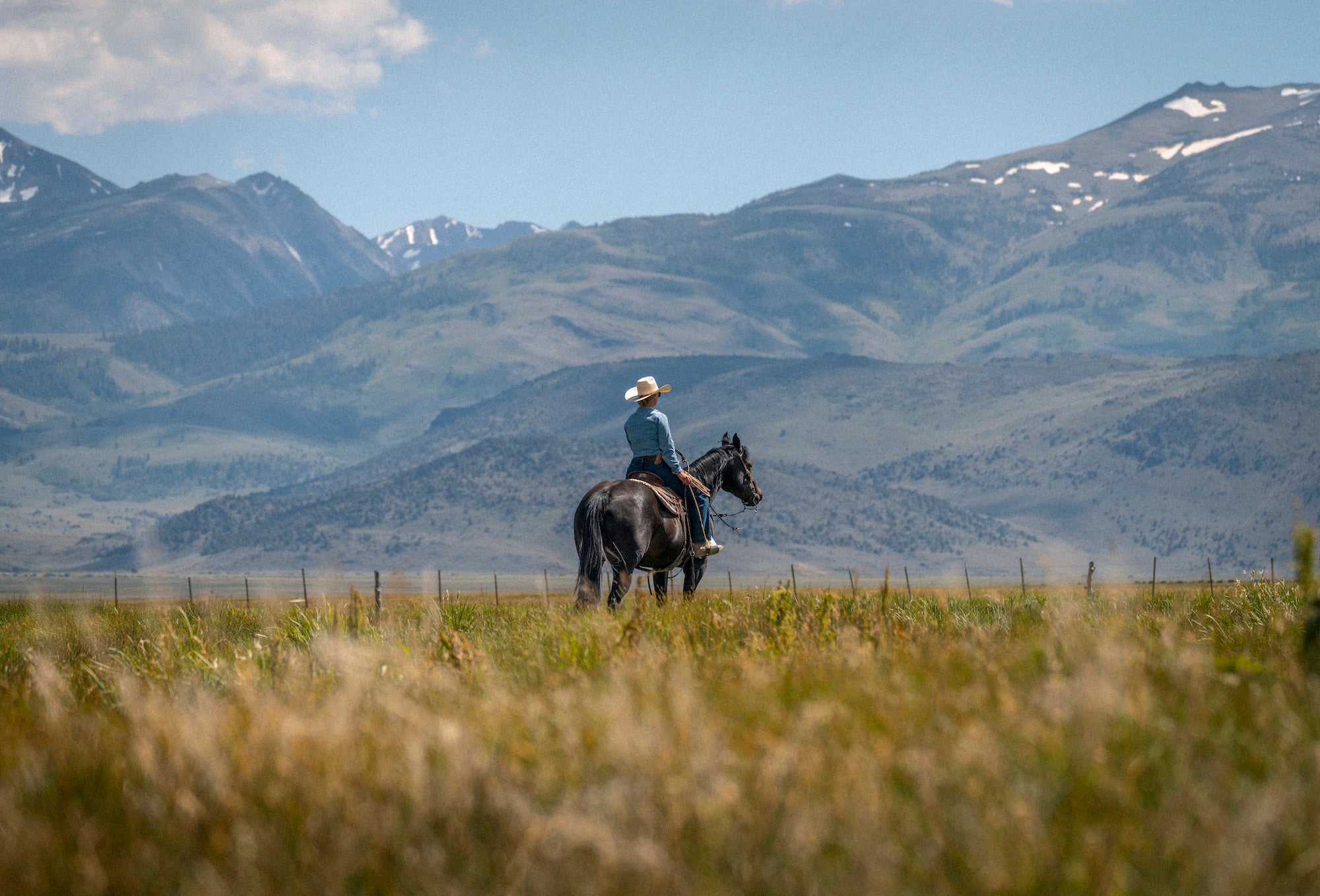 Cowboy on top of horse with mountains in the background