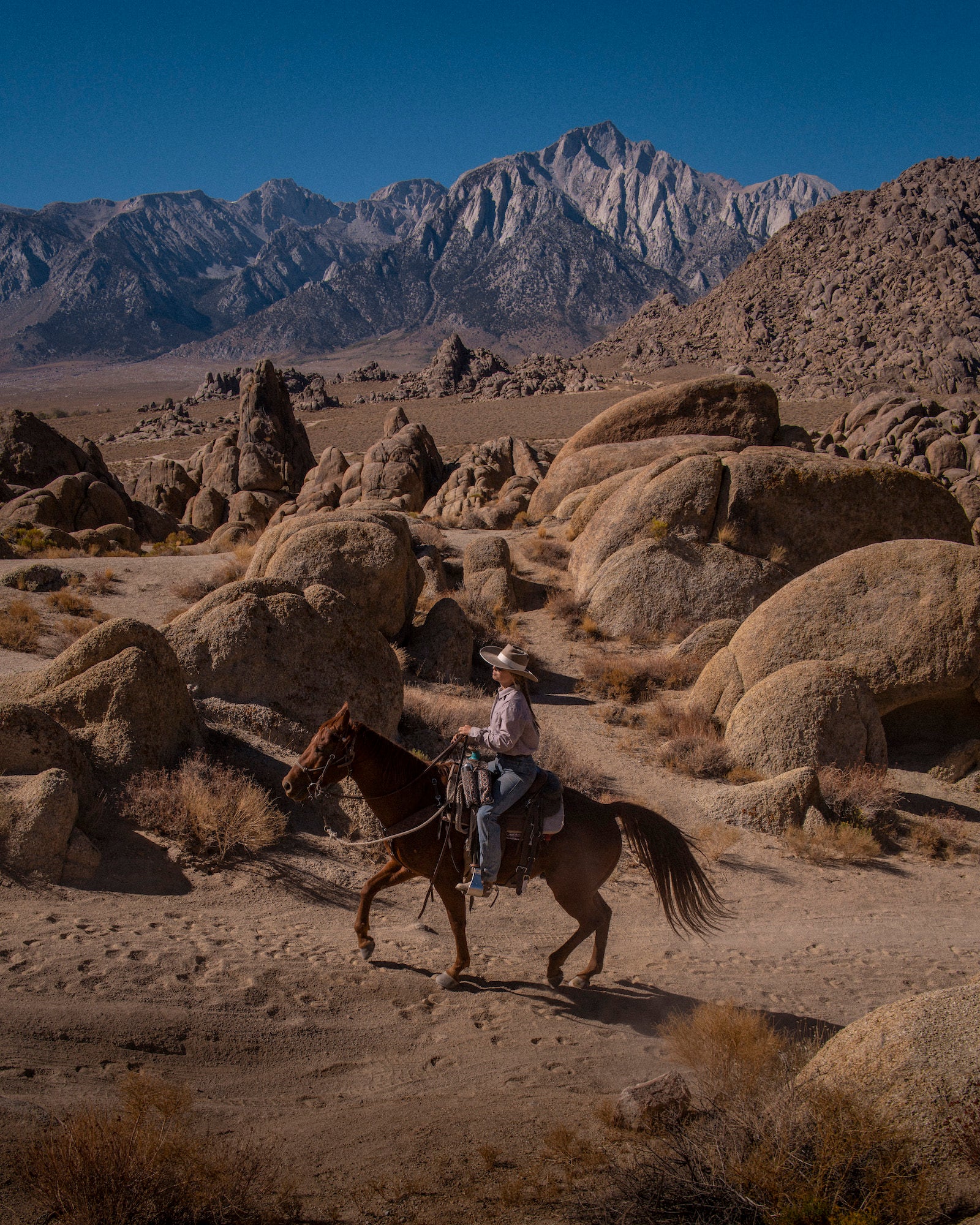 Cowboy on top of horse with mountains in the background