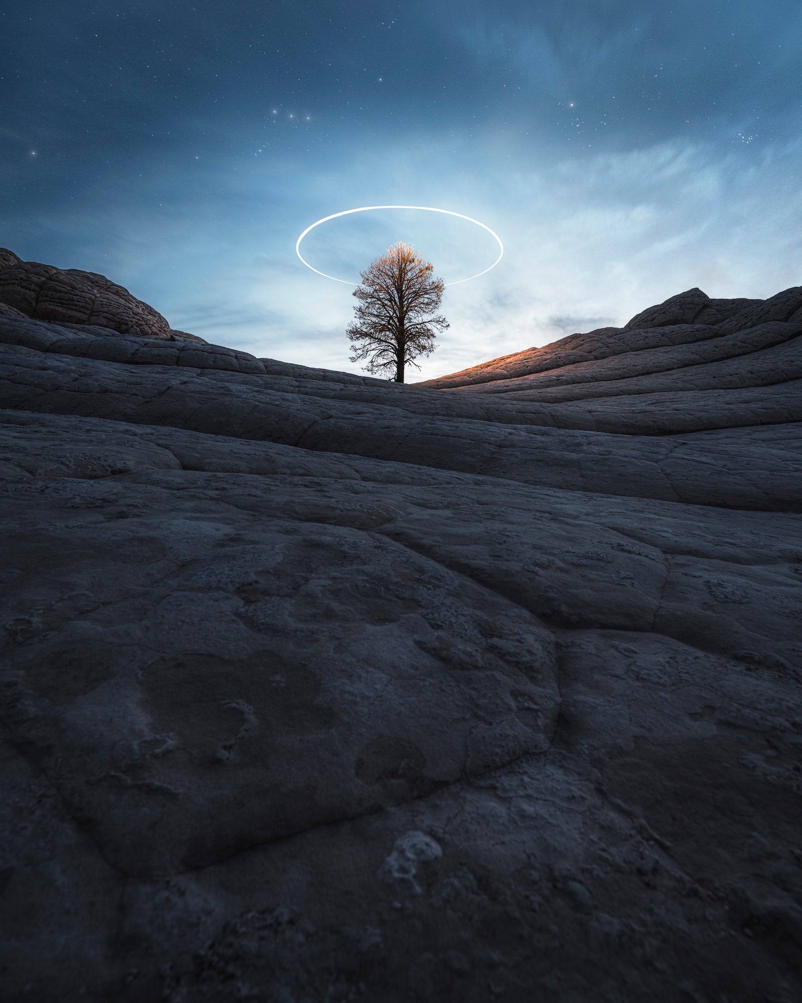 Long‑exposure night scene at White Pocket, Arizona: a lone tree centered between brainlike sandstone, haloed by a drone light circle beneath a starry sky.