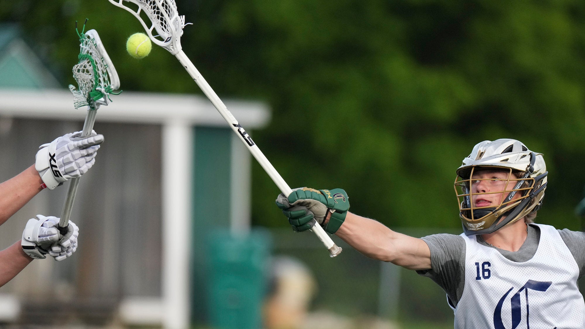 Lacrosse players going for the ball.