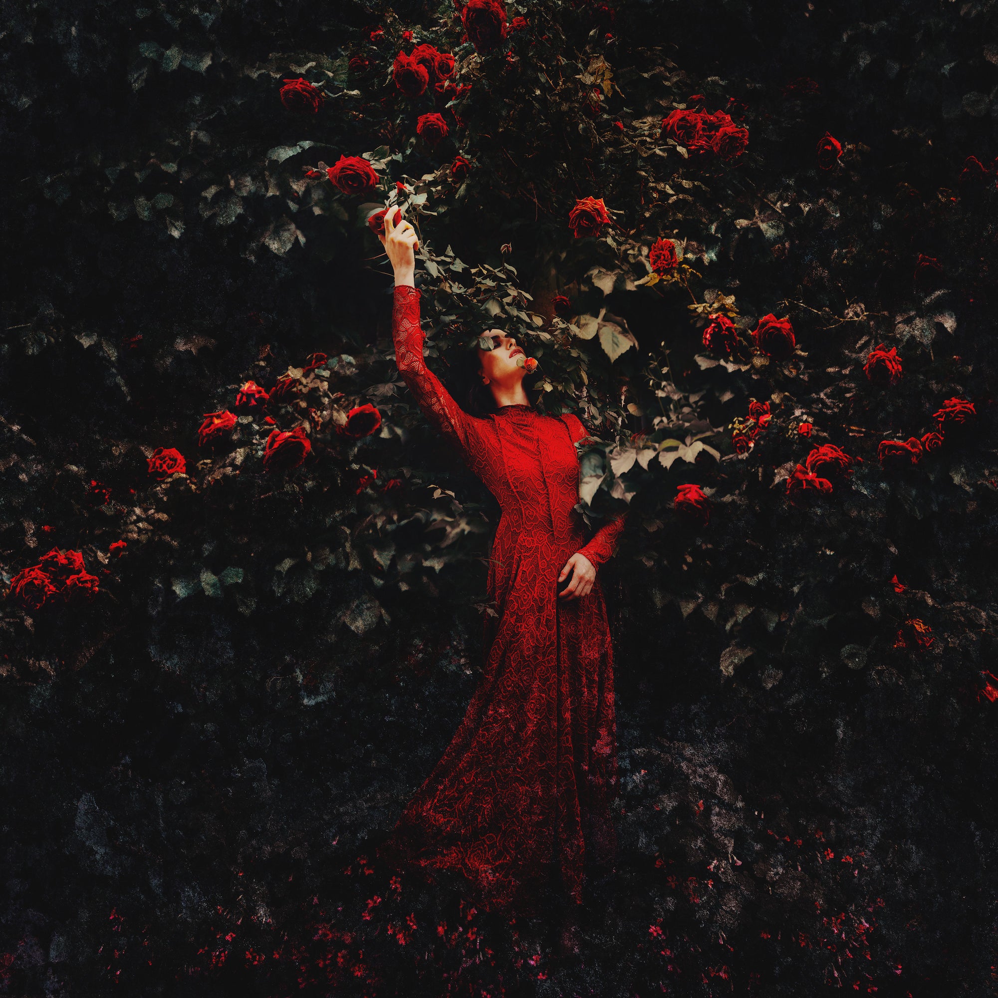 A woman in a long red lace gown reaches upward with one arm amid a dark, dramatic tangle of red roses and deep green foliage, her face tilted back with eyes closed.