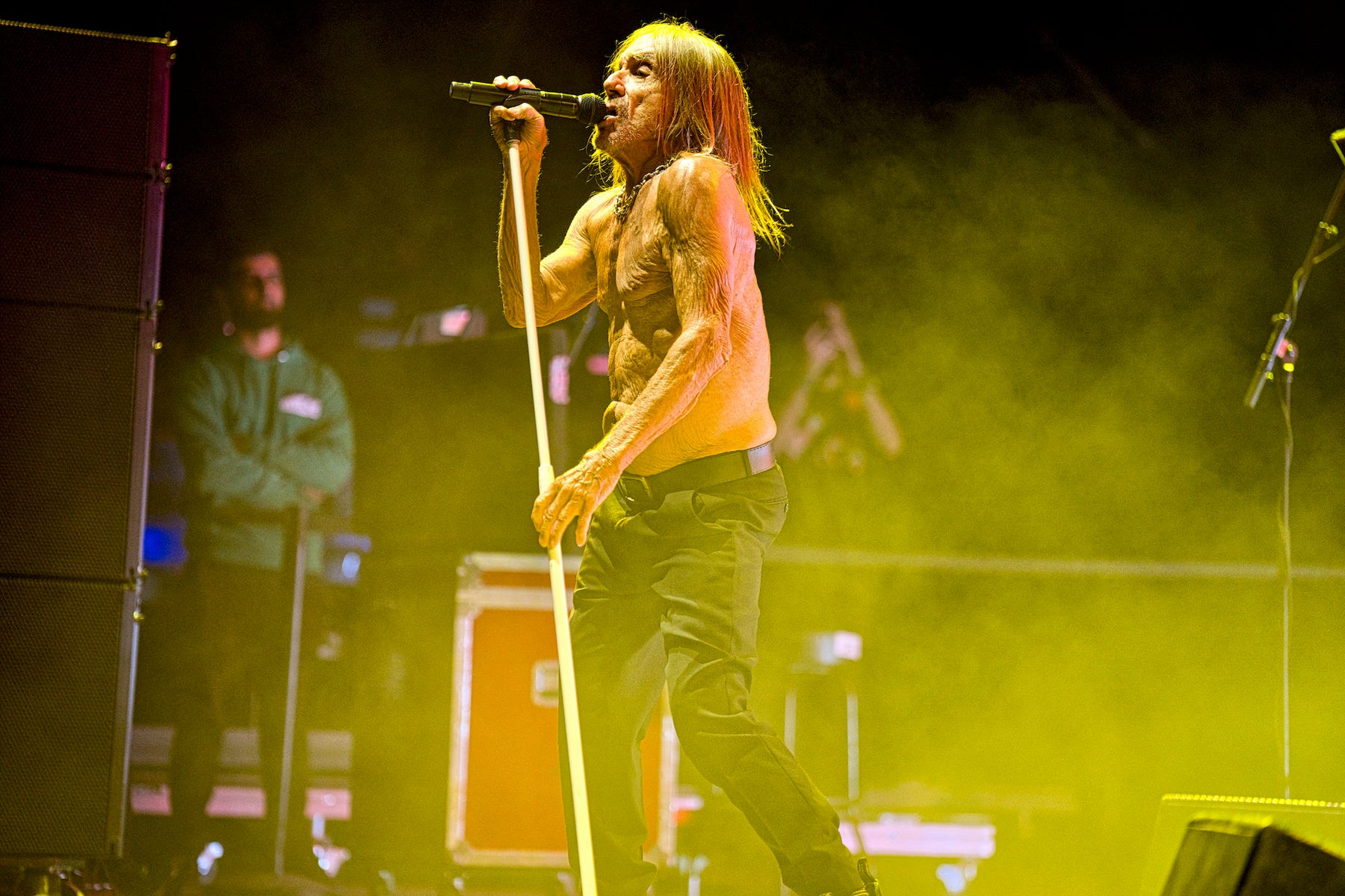 jpg/alpha-universe-glen-craig-iggy-pop-1200_boundsq6n3pq.jpg?height=1200&fit=bounds
