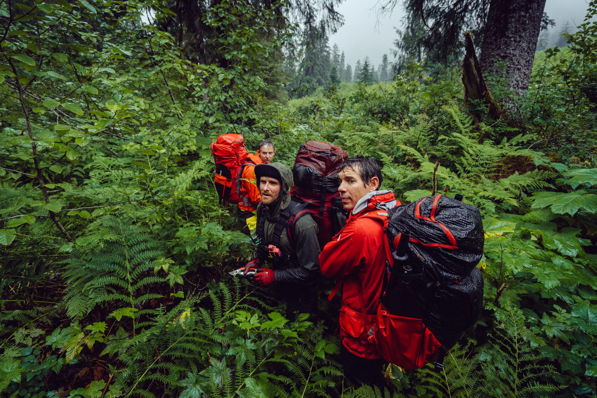 Tommy Caldwell, Alex Honnold and crew walking through the forest to reach their destination.
