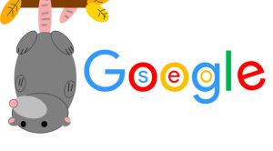 possum-google